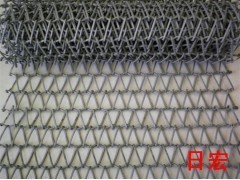 网带优惠价格-链条式网带-不锈钢传送带-烘干线网带(金属网带,传送带,运输带,耐高温网带)--安平县日宏金属丝网制品厂